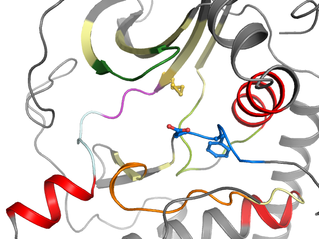 The orthosteric binding pocket