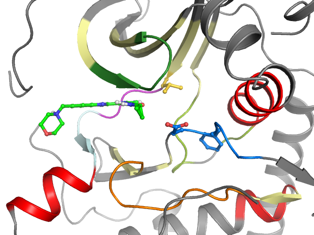 The orthosteric binding pocket