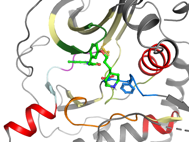 The orthosteric binding pocket