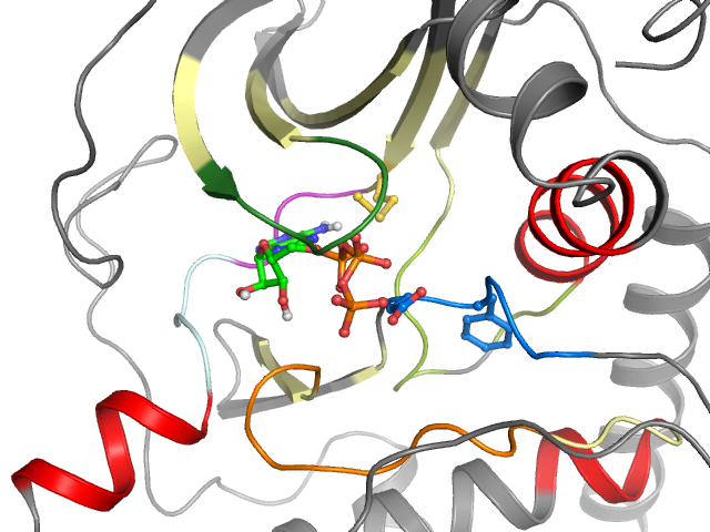The orthosteric binding pocket