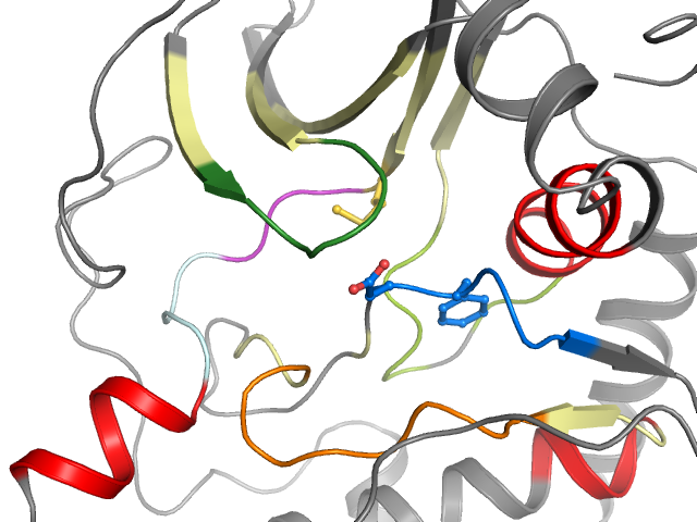 The orthosteric binding pocket