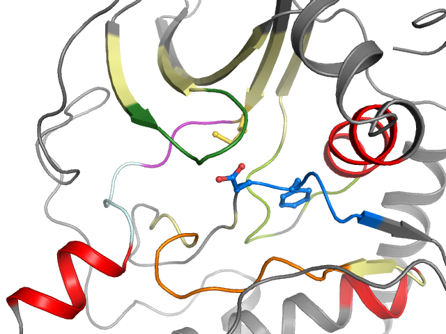 The orthosteric binding pocket