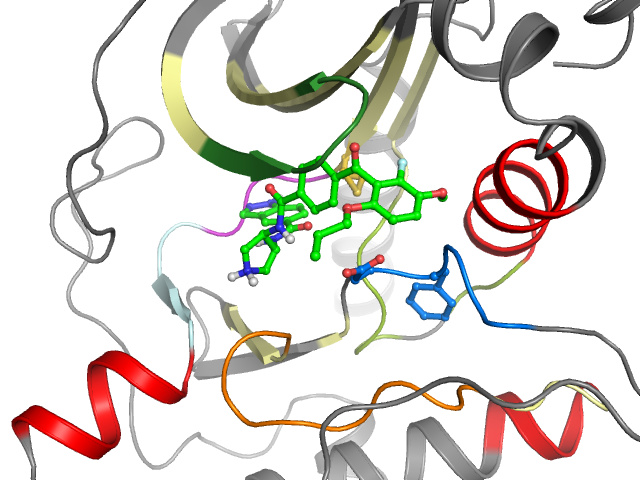 The orthosteric binding pocket