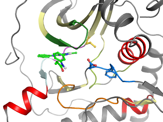 The orthosteric binding pocket