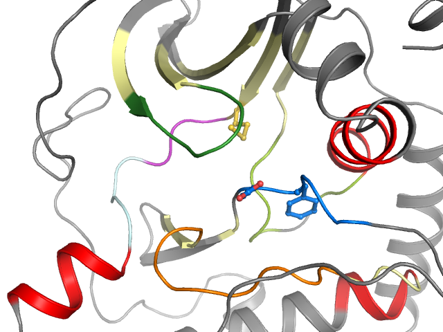 The orthosteric binding pocket
