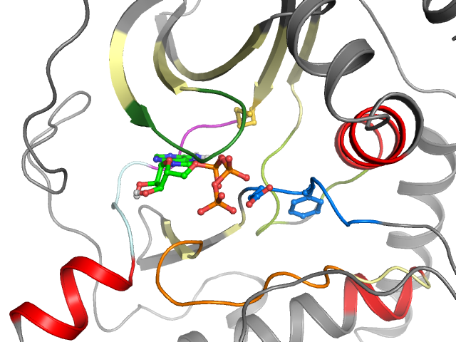 The orthosteric binding pocket