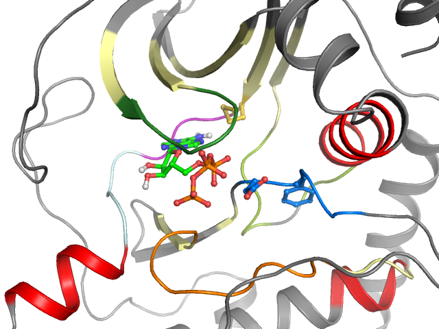 The orthosteric binding pocket