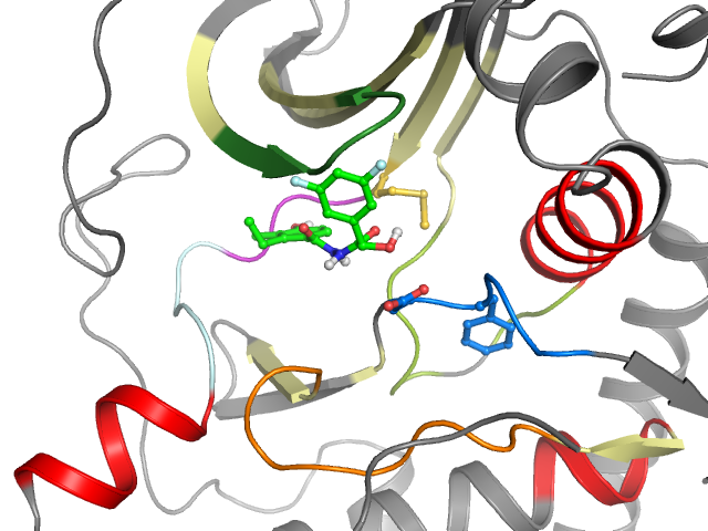The orthosteric binding pocket