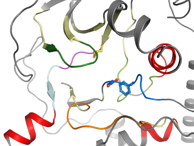 The orthosteric binding pocket