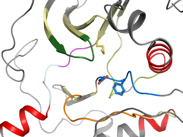 The orthosteric binding pocket
