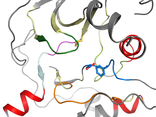 The orthosteric binding pocket