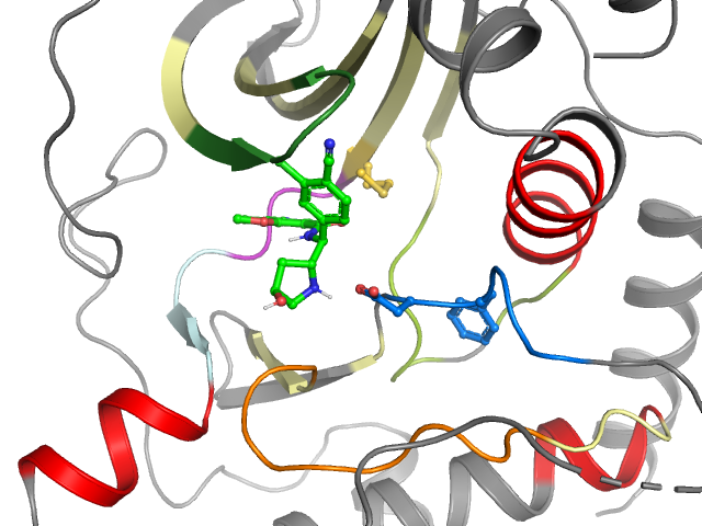 The orthosteric binding pocket