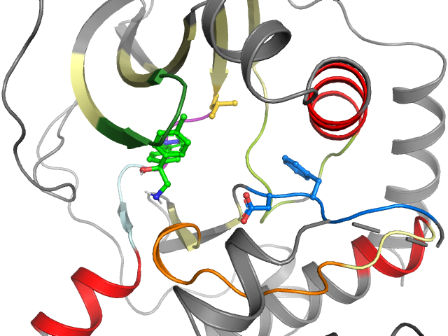 The orthosteric binding pocket