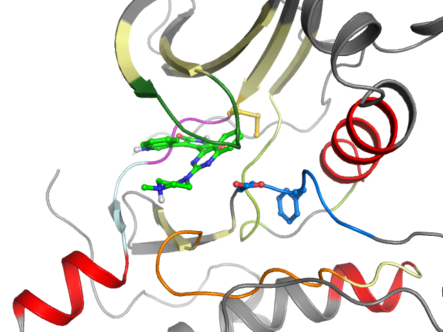 The orthosteric binding pocket