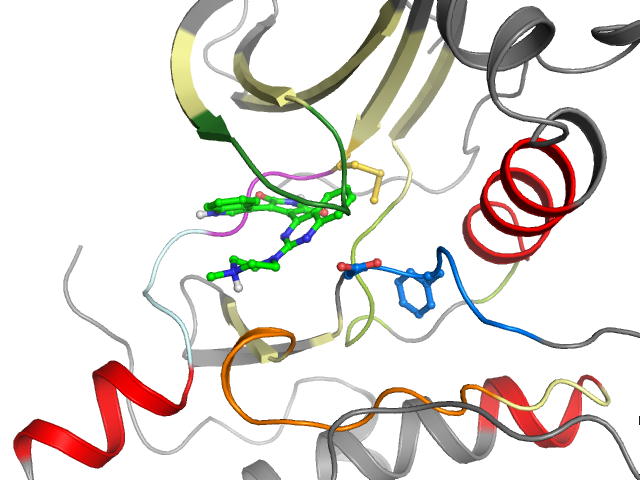 The orthosteric binding pocket