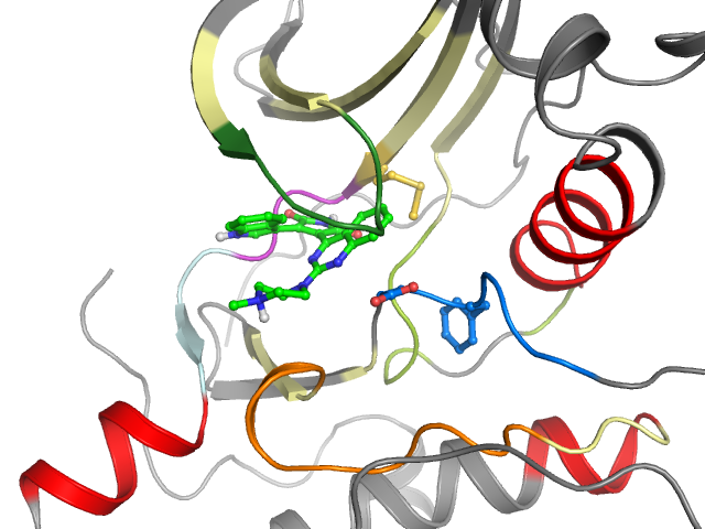 The orthosteric binding pocket