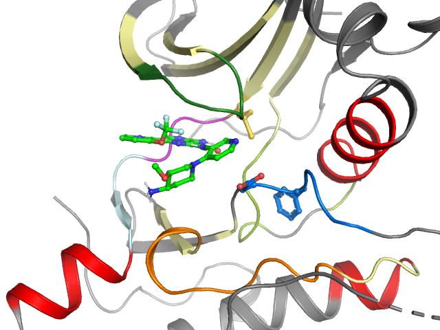 The orthosteric binding pocket