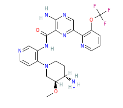 2D structure of the orthosteric ligand