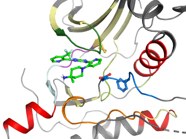 The orthosteric binding pocket