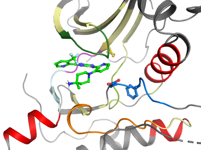 The orthosteric binding pocket
