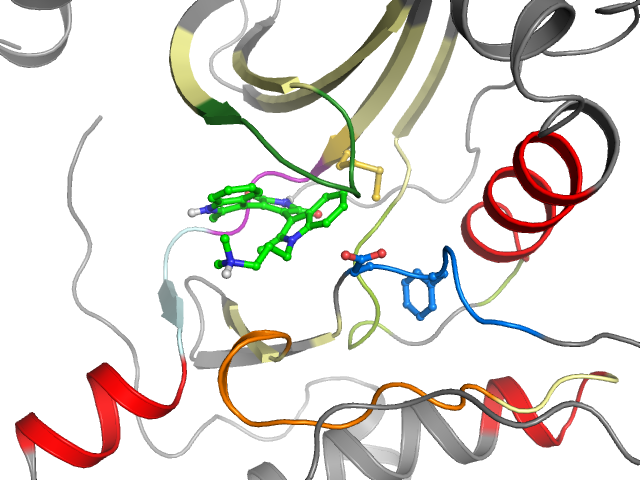 The orthosteric binding pocket