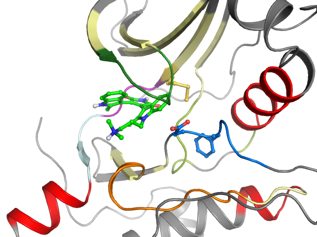 The orthosteric binding pocket