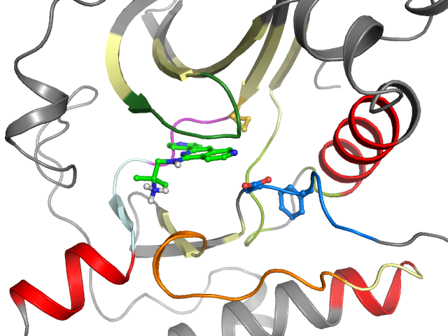 The orthosteric binding pocket