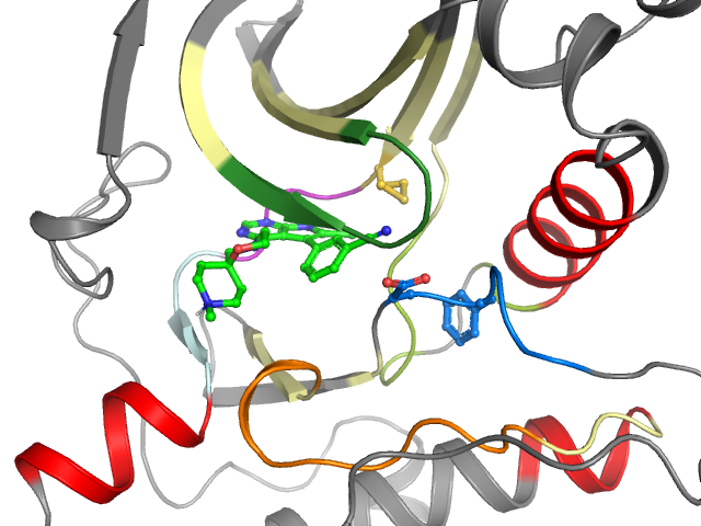 The orthosteric binding pocket