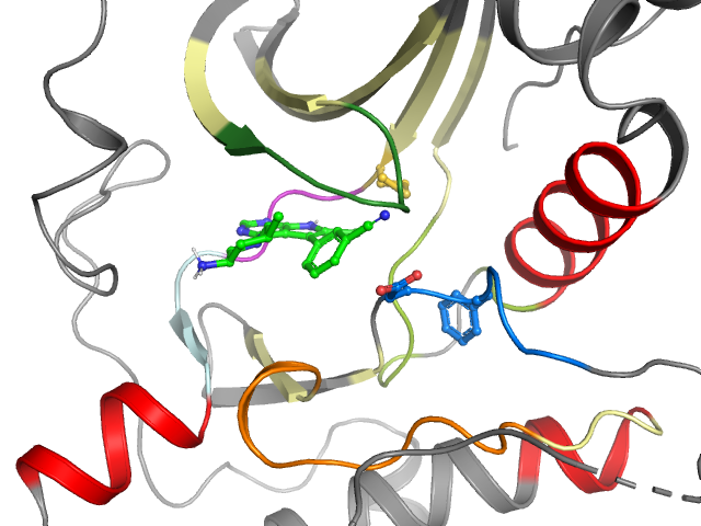 The orthosteric binding pocket