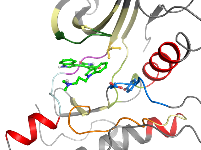 The orthosteric binding pocket