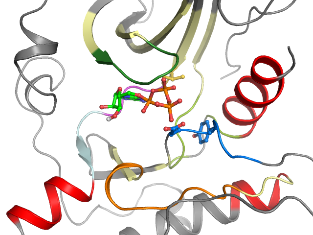 The orthosteric binding pocket