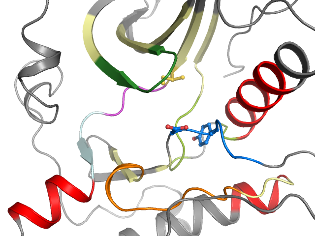 The orthosteric binding pocket