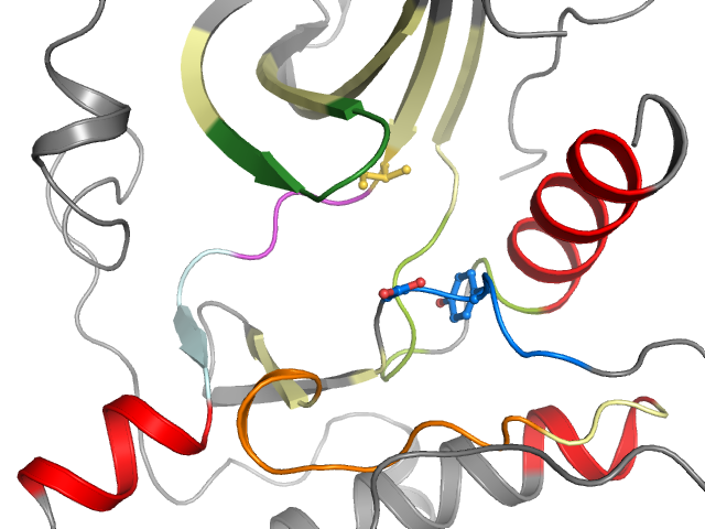 The orthosteric binding pocket
