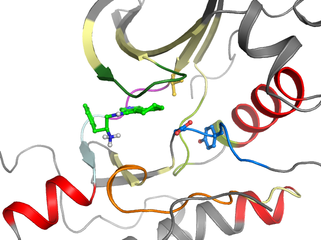 The orthosteric binding pocket
