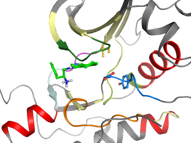 The orthosteric binding pocket