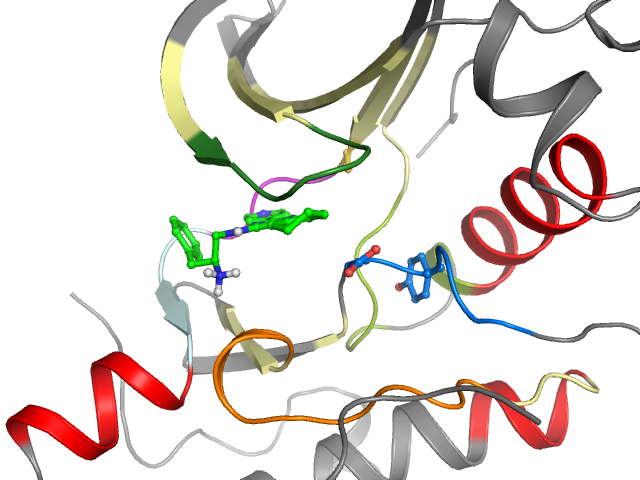 The orthosteric binding pocket