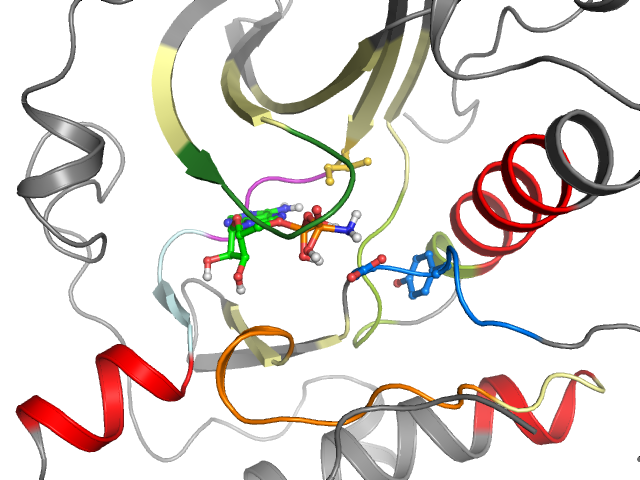The orthosteric binding pocket