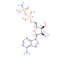 2D structure of the orthosteric ligand