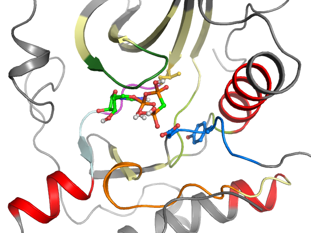 The orthosteric binding pocket