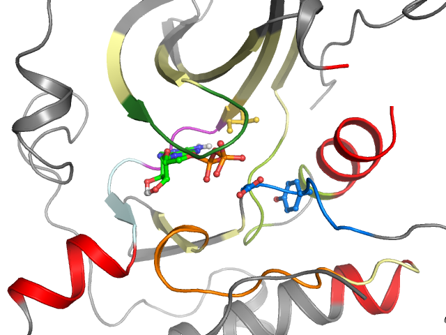 The orthosteric binding pocket