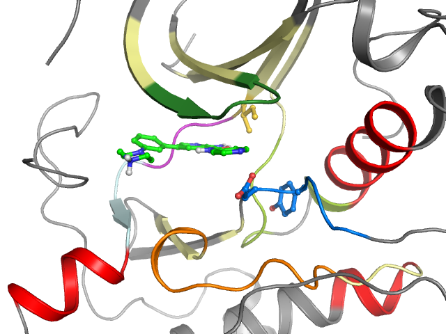 The orthosteric binding pocket