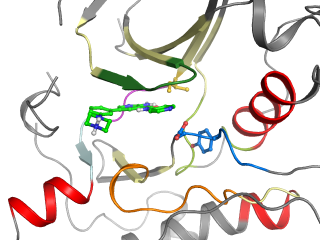 The orthosteric binding pocket