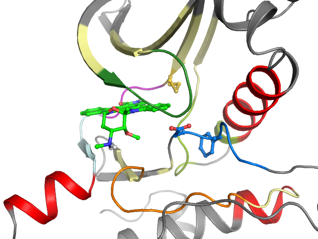 The orthosteric binding pocket