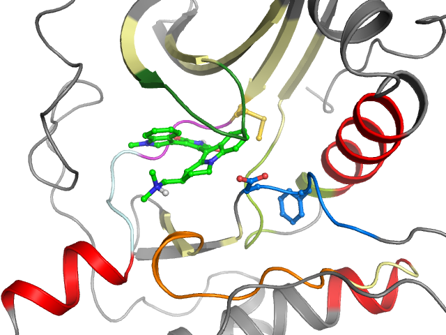 The orthosteric binding pocket