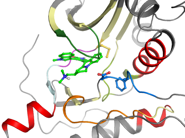 The orthosteric binding pocket