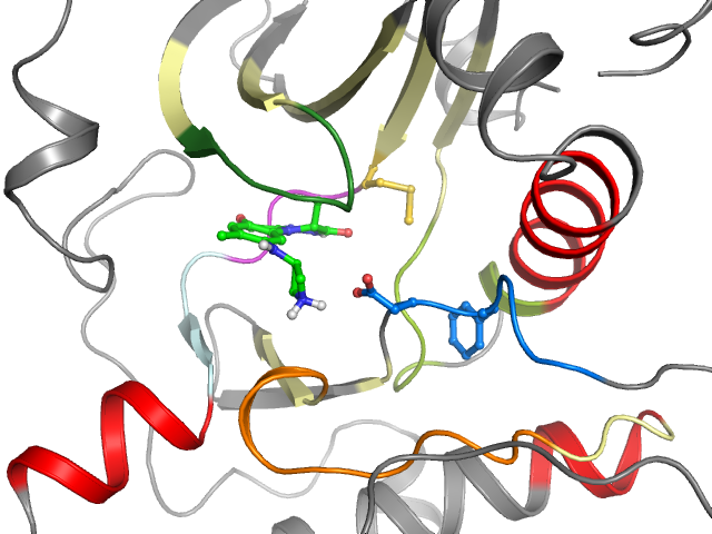 The orthosteric binding pocket