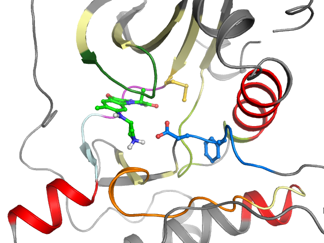 The orthosteric binding pocket