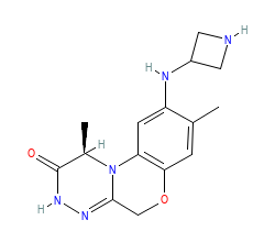 2D structure of the orthosteric ligand