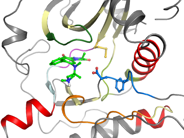 The orthosteric binding pocket