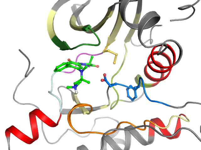 The orthosteric binding pocket